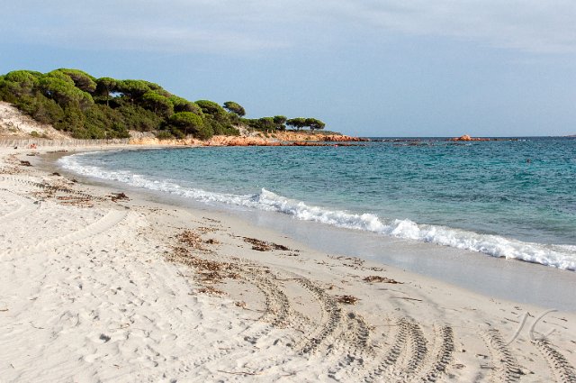 0098 Plage de Palombaggia.jpg - SONY DSC